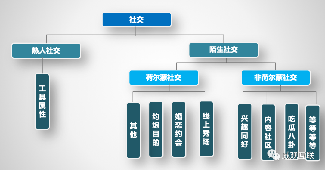 个人社交情况的简要概述