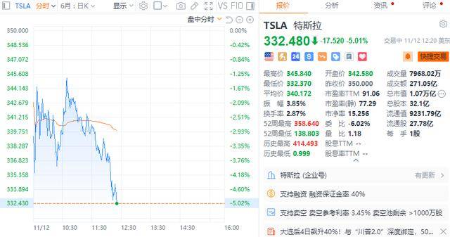 特斯拉股价暴跌背后的深层原因及未来展望，市场波动达5.77%