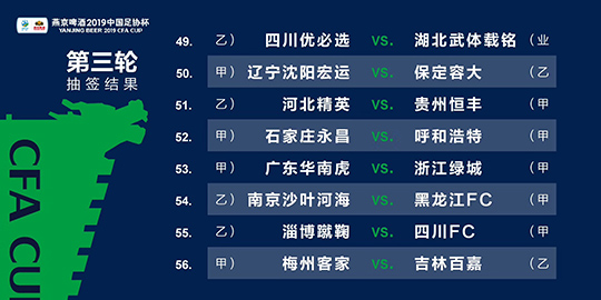 2024澳门今晚必开一肖图,实地考察数据应用_AR版38.202