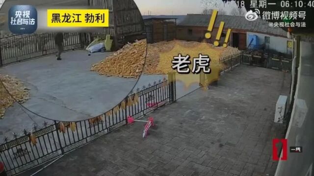 学生挂八科后失联溺亡事件引发教育缺失反思及应对之策探讨