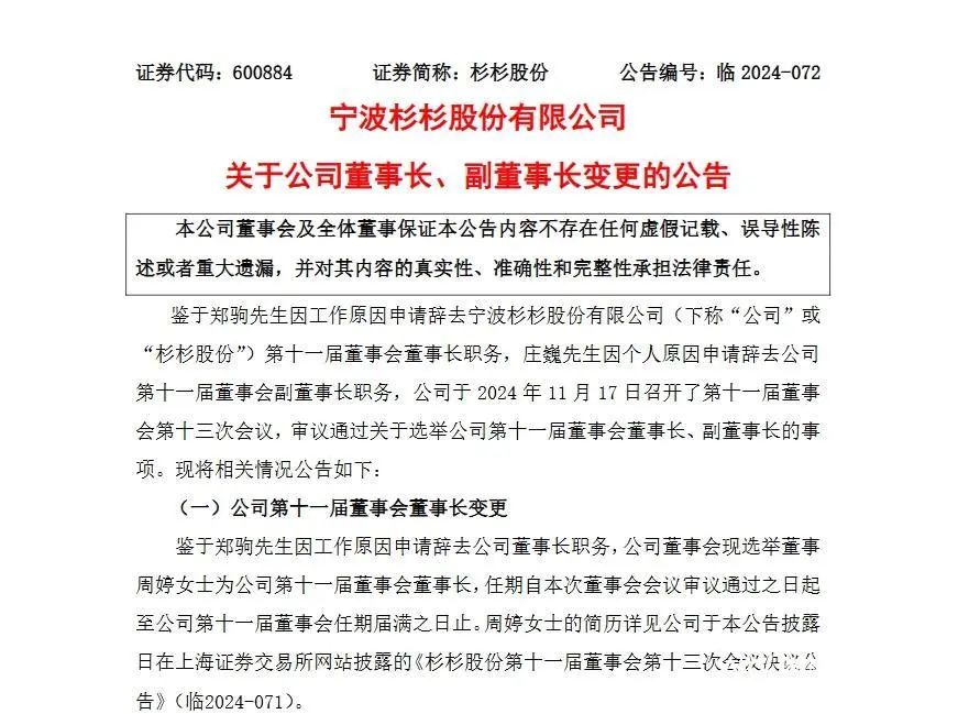 杉杉股份董事长辞职，80后继母接任——企业领导层交替与创新发展的步伐