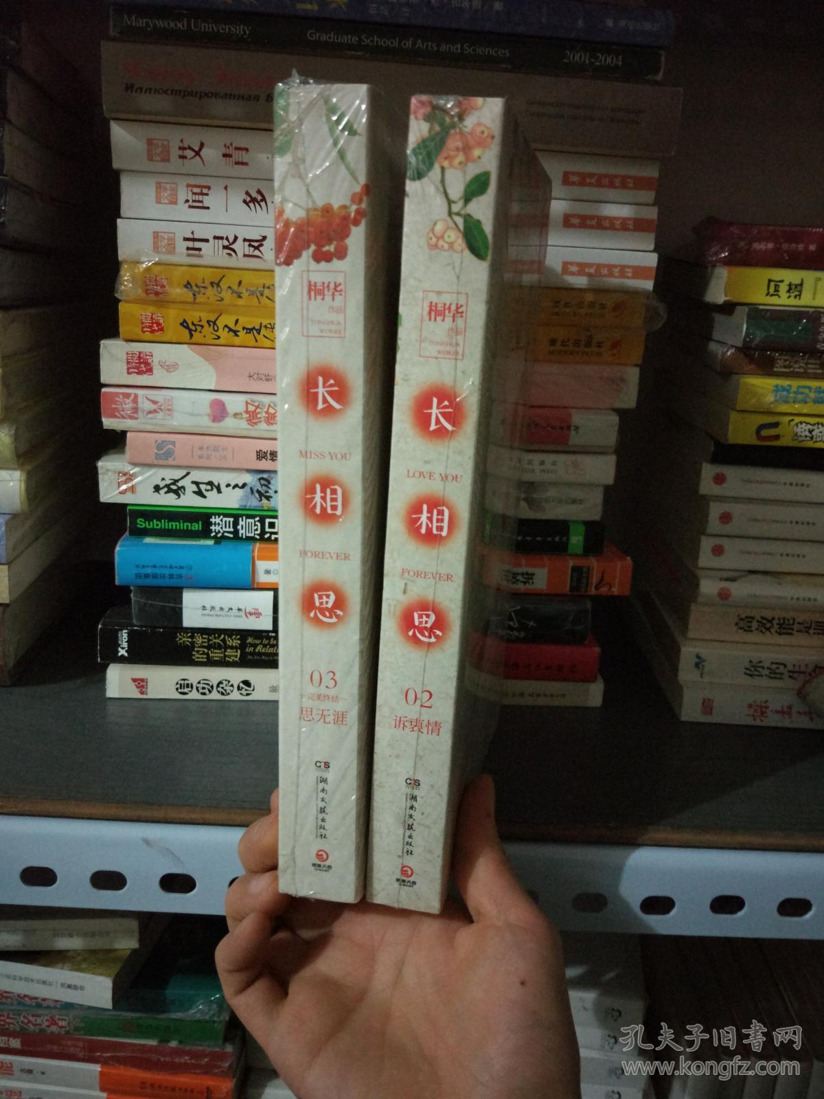 古典诗词中的情感深度与人生哲理，长相思（套装三册）