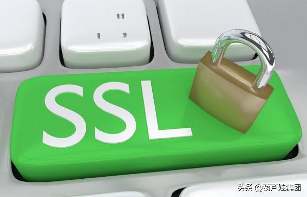 SSL证书详解，定义、功能与重要性解析