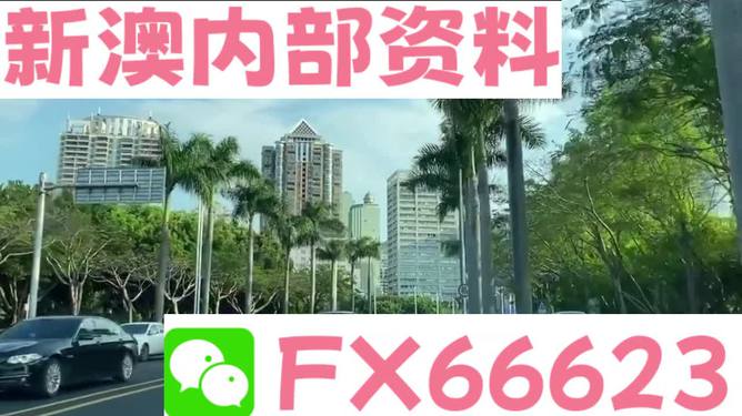 新澳精准资料免费提供265期,精准实施解析_4K版64.100