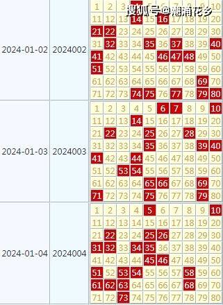 2024天天开好彩大全,全面数据解释定义_XT66.379