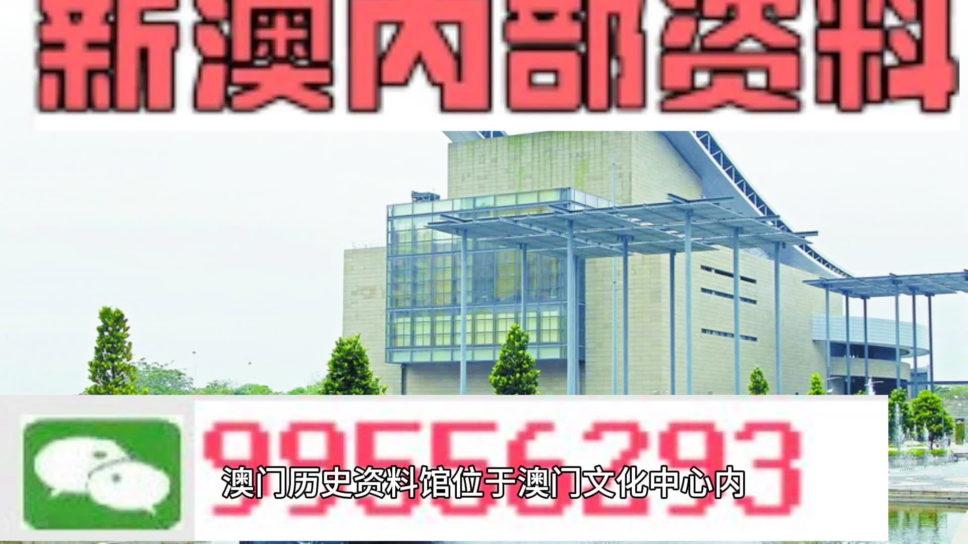 2024年新澳门天天开奖免费查询,科学解答解释定义_精英款28.179