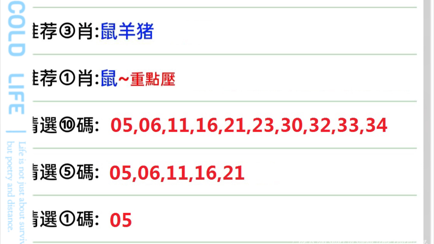 今天晚上澳门三肖兔羊蛇,实地数据分析计划_LT31.248