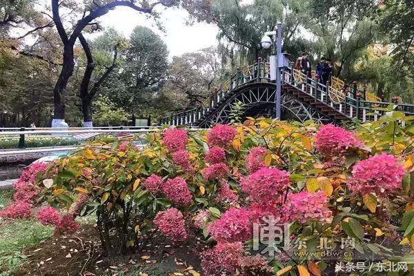 哈尔滨中央大街铺设地毯迎新春