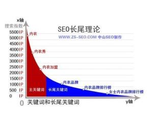 长尾关键词特点揭秘，为何它们对搜索引擎优化至关重要？