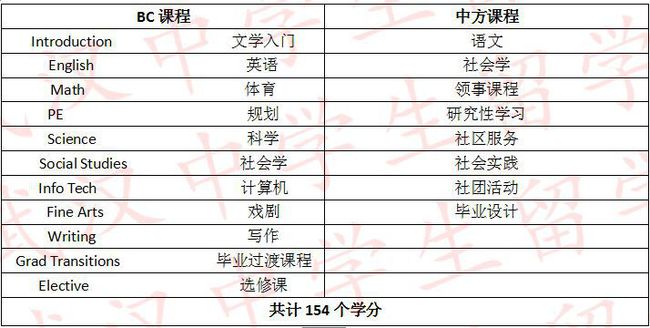 花火绽放 第4页