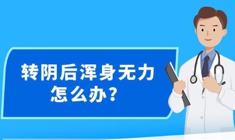 新澳精准资料大全免费更新,效率资料解释定义_FT76.703