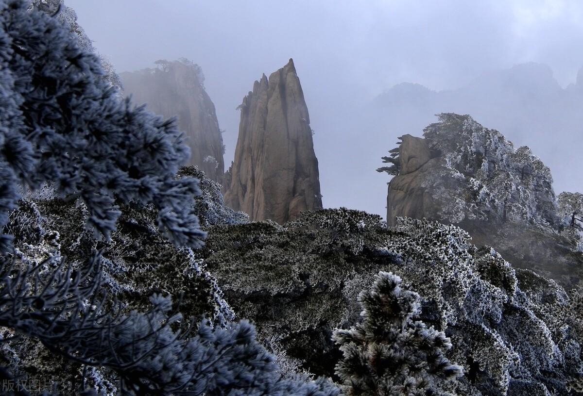 黄山金色雪景惊艳冬日，自然杰作展现神话般魅力