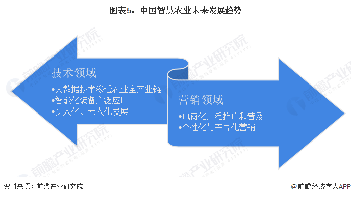 2021年正版精准一肖,稳定设计解析_U20.229