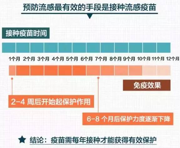 2024年香港资料免费大全,重要性解释定义方法_投资版56.105