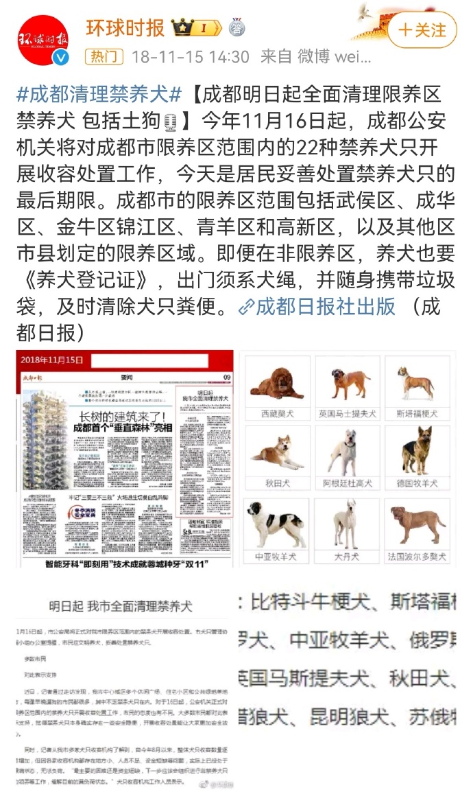 西安大型犬扑咬事件背后的真相与反思