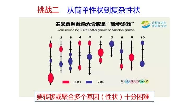 澳门一码一肖一待一中四不像,数据引导策略解析_挑战款48.588