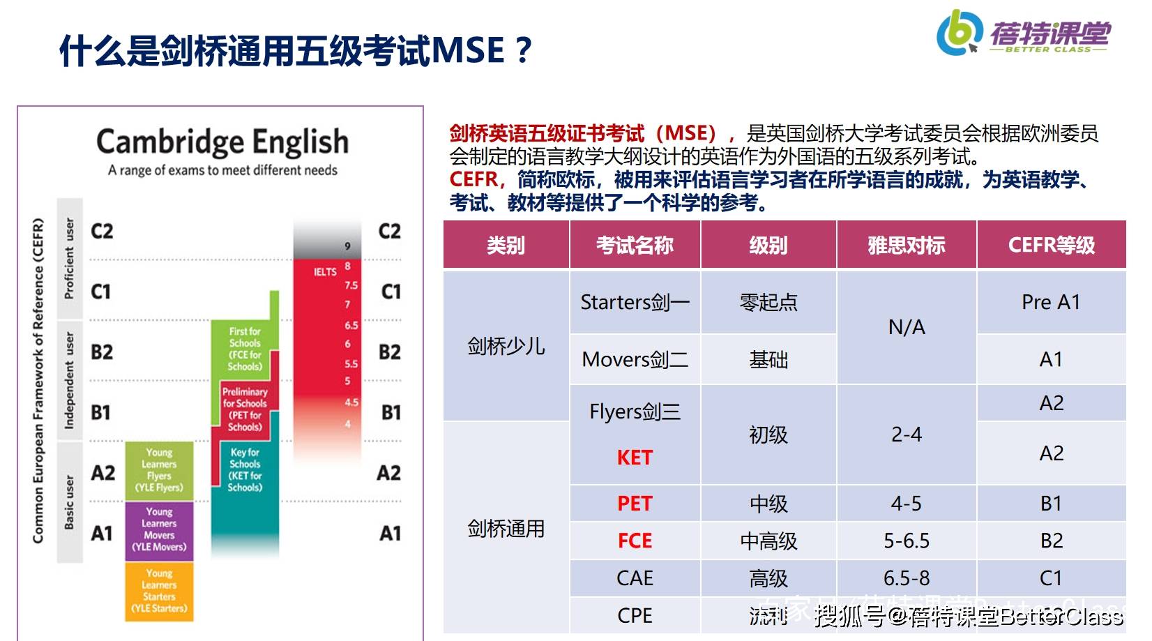 管家婆一肖中平特开奖结果,互动性策略解析_FHD13.434