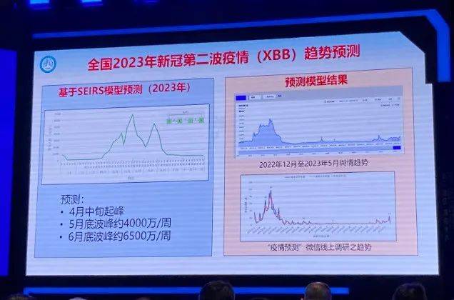 2024年11月新冠高峰,数据整合设计解析_FHD81.157