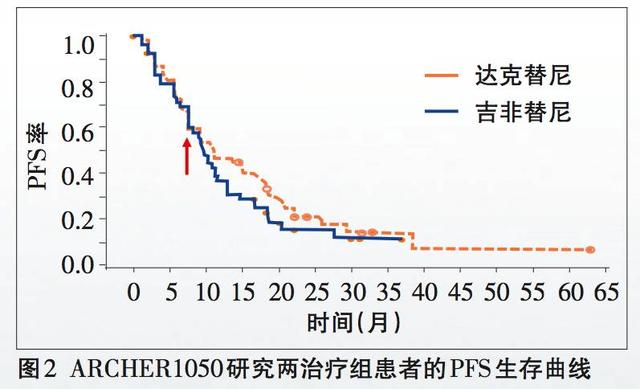 新澳2024年精准特马资料,创造力推广策略_V63.437