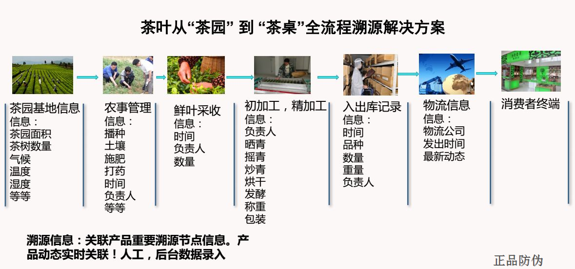 澳门一码一码100准确,可靠性方案操作策略_2DM30.978