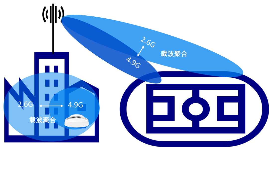 2024年12月5日 第10页