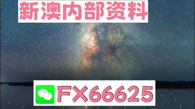 2024新澳天天彩免费资料大全查询,实时说明解析_钻石版89.805