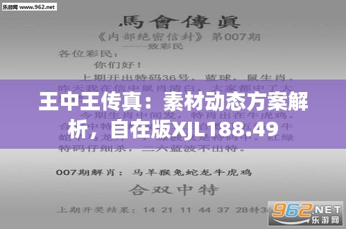 7777788888王中王传真,安全评估策略_黄金版84.764