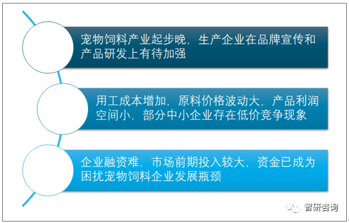 2024新澳天天免费资料,稳定策略分析_网页款21.736