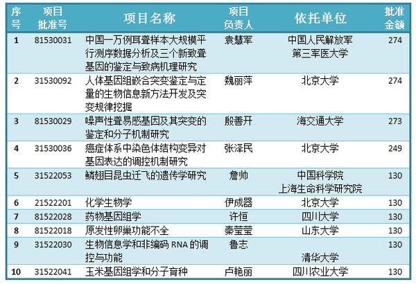 新澳门内部一码精准公开,高速响应策略解析_黄金版96.238