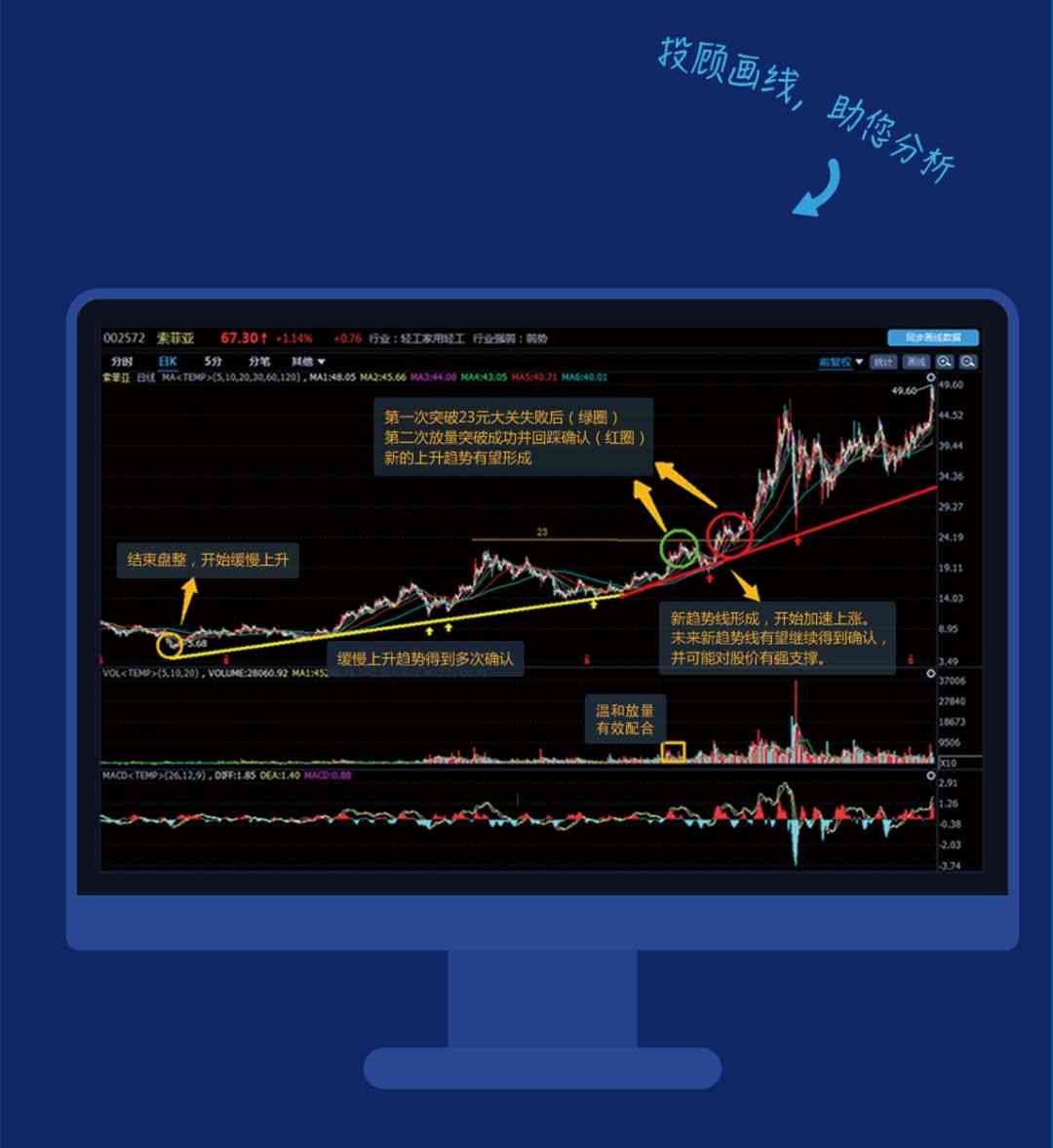 刘伯温一肖一码凤凰,数据分析驱动解析_旗舰款35.591