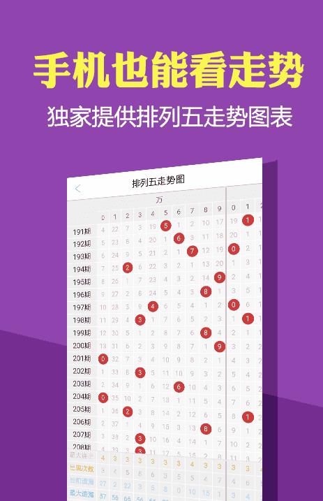 新一码一肖100准正版资料,实地分析数据方案_Q24.889