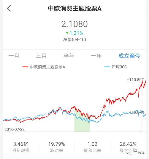 王中王一肖一中一特一中2020,稳定性设计解析_4DM16.615