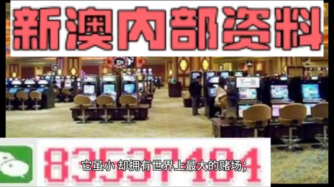 2024新澳精准资料免费提供,澳门内部,确保成语解释落实的问题_N版89.595