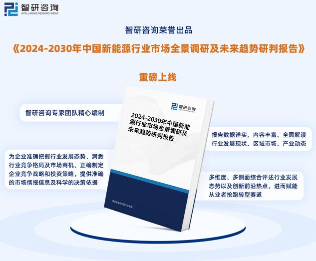 新澳2024年正版资料,数据分析驱动决策_网页款18.661