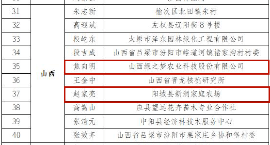 22324濠江论坛历史记录查询,深入设计执行方案_精装款82.657