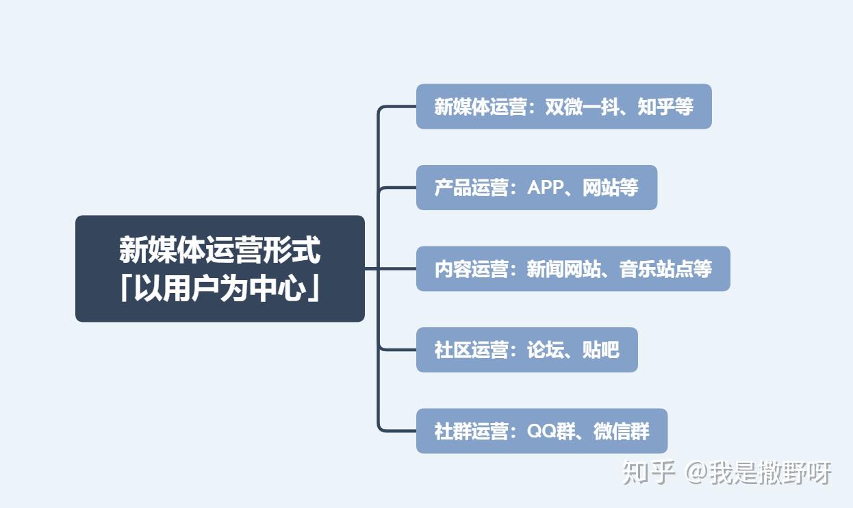 澳门今晚必开一肖一特大众网,迅速执行设计方案_PalmOS21.927