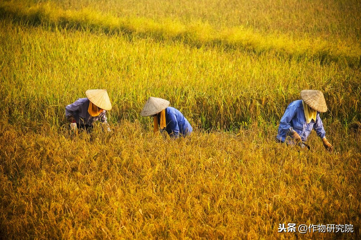 后端变现项目深度解析与实践指南，打造高效盈利系统