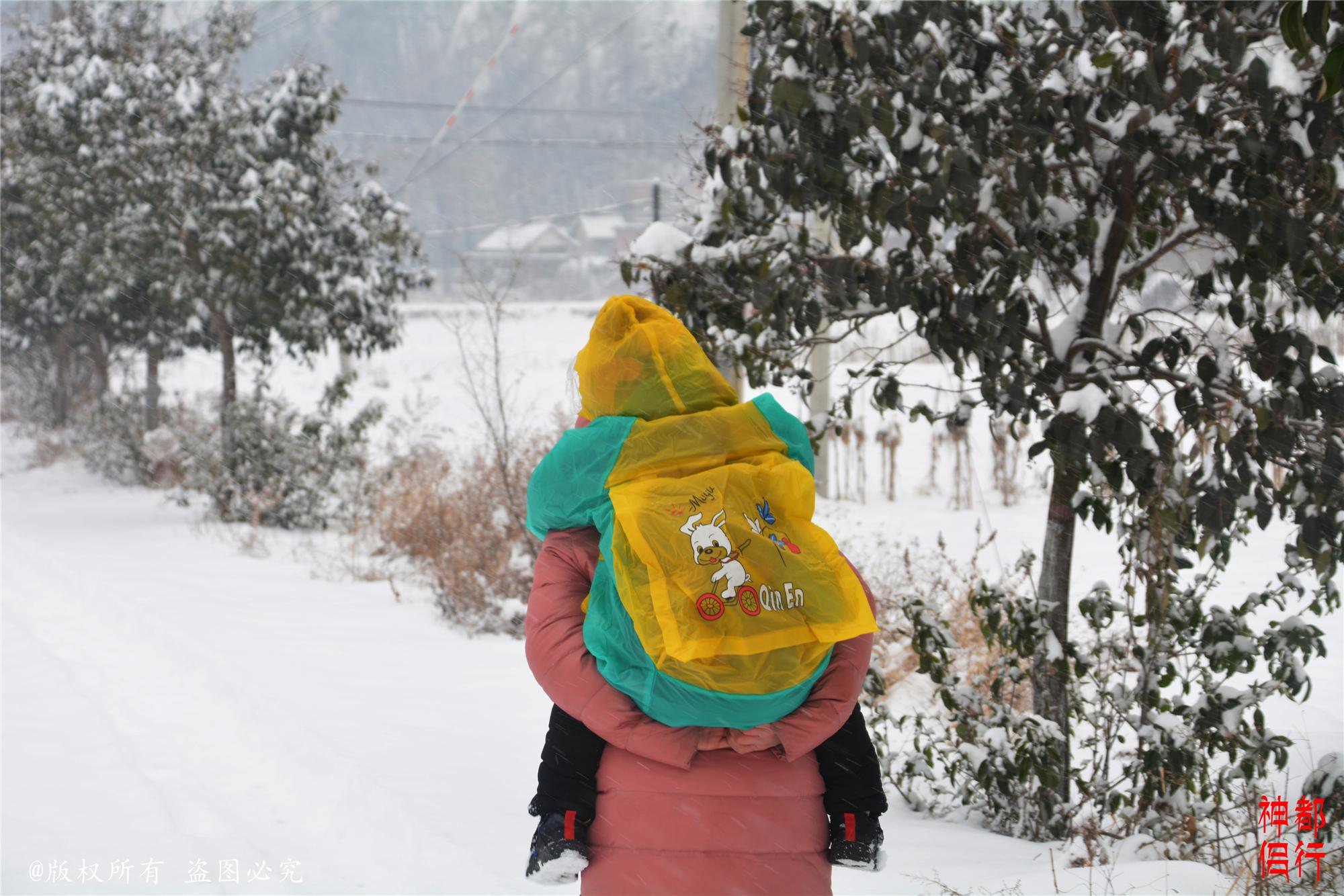 洛阳大雪纷飞，城市银装素裹