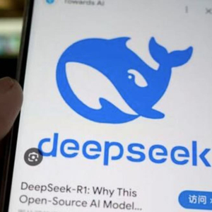 DeepSeek，是深度蒸馏还是原创之力？